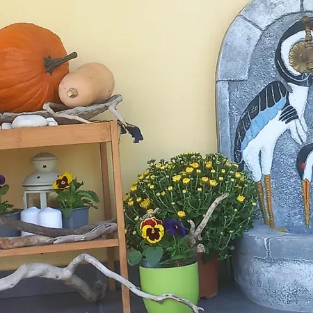 κτήμα ανάσες ζωής- ευγενία σγούρα