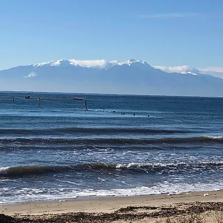 κτήμα ανάσες ζωής- ευγενία σγούρα *