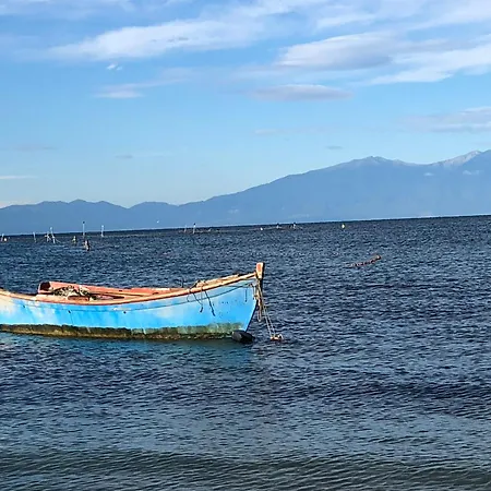 Κτήμα Ανάσες Ζωής- Ευγενία Σγούρα *