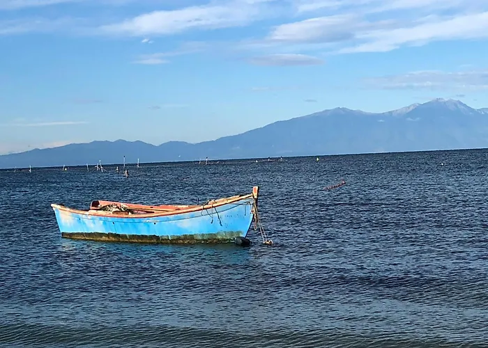 Κτήμα Ανάσες Ζωής- Ευγενία Σγούρα *
