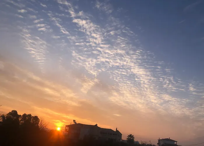 κτήμα ανάσες ζωής- ευγενία σγούρα