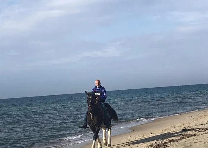 Κτήμα Ανάσες Ζωής- Ευγενία Σγούρα Chalet *