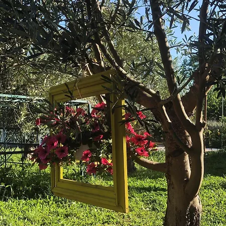 Κτήμα Ανάσες Ζωής- Ευγενία Σγούρα