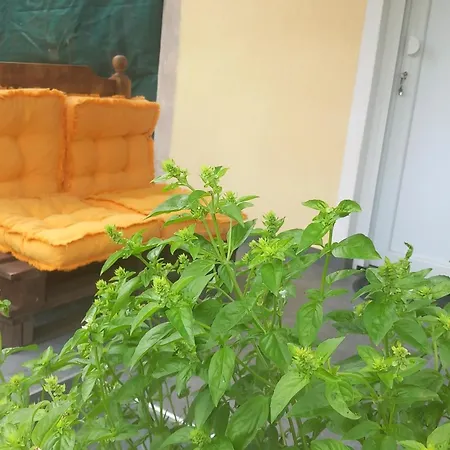 Κτήμα Ανάσες Ζωής- Ευγενία Σγούρα Chalé *