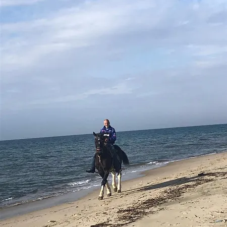 Κτήμα Ανάσες Ζωής- Ευγενία Σγούρα Chalé *